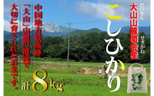 【令和7年産米】 【数量限定】大山山麓関金産 コシヒカリ 8kg (5kg×1袋、3kg×1袋) 令和7年産 新米 お米 米 こめ コメ 白米 ブランド おいしい 健康 産地直送 コシヒカリ