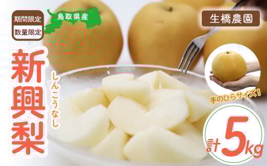 新興梨【鳥取県産】5kg(生橋農園) 梨 鳥取 果物 フルーツ 和梨 先行予約 数量限定 人気 甘い 赤梨