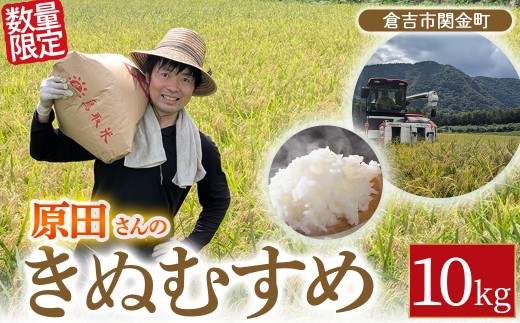 【新米】【在庫限定】令和7年産米 原田さんのきぬむすめ 10kg （原田農園）数量限定 新米 お米 米 こめ コメ 白米 きぬむすめ ブランド米 鳥取県 倉吉市