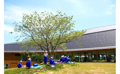 ８．指定なし