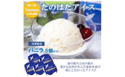 生乳100%で仕上げたなめらかな口溶けアイス バニラ5個セット(120g×5個)【1596859】