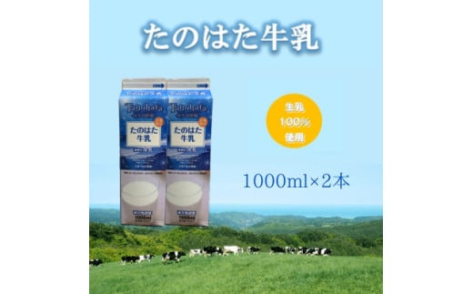 たのはた牛乳　1000ml　2本＜美味しさへこだわり:85℃　25分間殺菌＞【1603935】