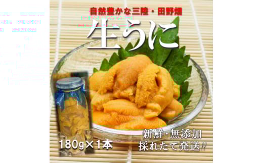 <予約R8.6月~発送>三陸生うに 180g1本 国立公園・田野畑村から(瓶入りミョウバン不使用) 【1634790】