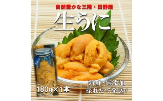 <予約・7月中旬~発送>三陸生うに 180g×1本 国立公園・田野畑村から(瓶入りミョウバン不使用)【1657829】