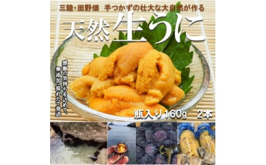 <予約・7月中旬発送>岩手・三陸 小さな村のきれいな海で育った 瓶入り 濃厚生うに(160g×2本)【1657611】