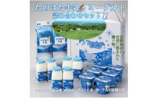~岩手県田野畑産の生乳を100%使用~ たのはた牛乳・ヨーグルトセット( TK-3)【1273687】