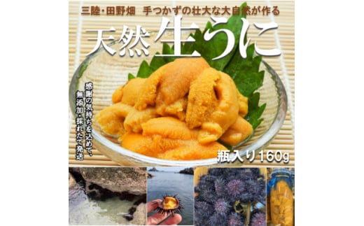 <予約・6月~発送>岩手・三陸 小さな村のきれいな海で育った 新鮮 瓶入り 天然生うに(160g)【1308103】