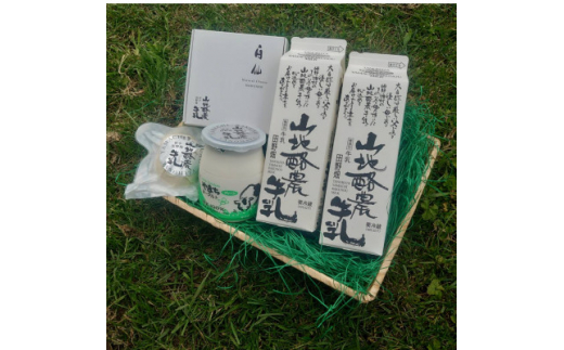 ~大自然で生まれ育った牛さんの恵~ 田野畑山地酪農乳製品詰合せ_乳製品 チーズ 牛乳 ヨーグルト 詰め合わせ 酪農 岩手県 田野畑村 美味しい 人気 おすすめ 送料無料 ギフト【1344814】