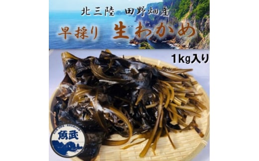 2026年先行受付<期間限定>早採り生わかめ 1kg【1482533】