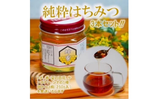 道の駅たのはたセレクション 純粋はちみつ  お任せ3瓶セット(瓶詰め250g×3瓶)【1484270】