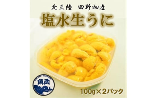 <令和8年6月上旬~順次発送>岩手県田野畑産 無添加塩水生うに 100g×2パック 産地直送【1536899】