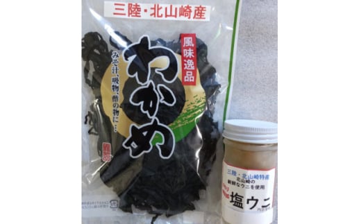 三陸 田野畑村北山崎産 塩ウニ&塩蔵わかめのセット【1271283】