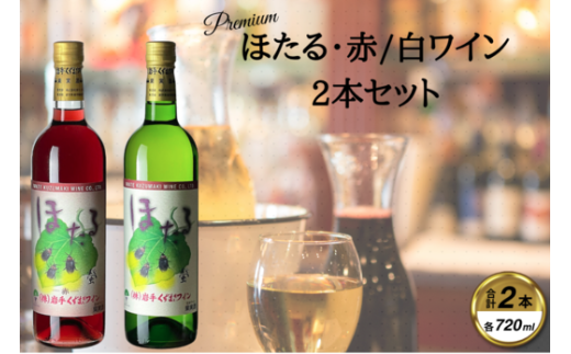 ほたる赤白2本セット【1635883】