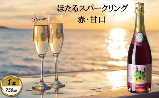 岩手くずまきワイン スパークリング <ほたるスパークリング・赤:750ml> 1本【1648939】