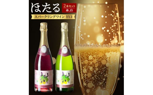 スパークリングワイン 2本セット ( 赤ワイン 白ワイン ) 甘口 飲み比べ ワイン 詰め合わせ【1226088】