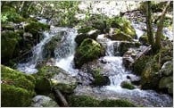 ふるさとの水と空気を育むまちづくり