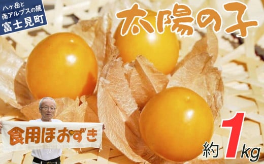 農薬不使用 フルーツほおずき 太陽の子 1kg ビタミンA 鉄分 イノシトール 食用ほおずき バディアス農園