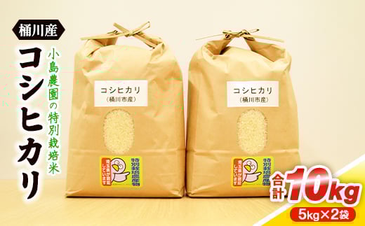小島農園の特別栽培米 桶川産コシヒカリ 5kg×2袋【1357476】