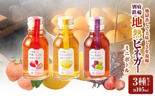 地熱ビネガーミニボトル３種セット