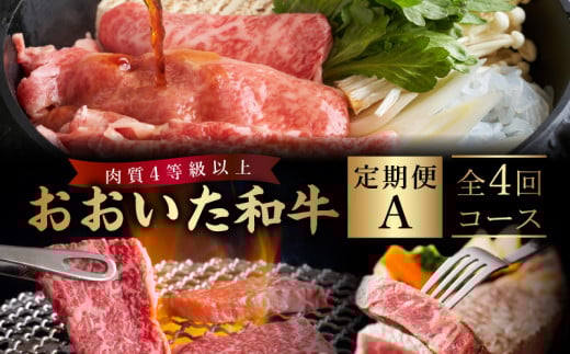 《定期便》おおいた和牛 定期便A