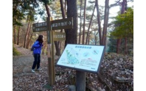 青梅の森の保全、整備に関する事業