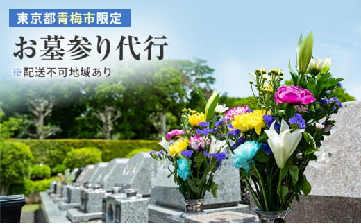 【寄付前に必ずご相談ください】お墓参り代行サービス[№5714-0284]