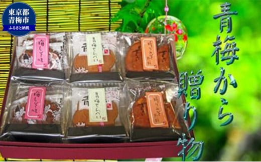 青梅せんべい味わいギフト [№5714-0110]