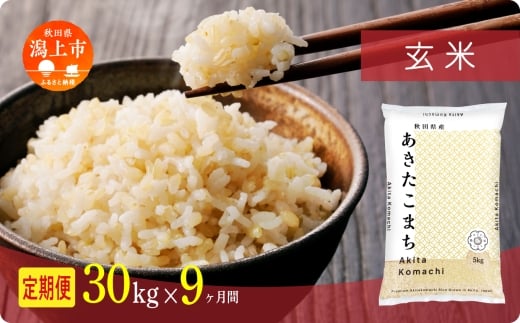 《新米》定期便 玄 米 あきたこまち 令和7年産 玄米 30kg(5kg×6) × 9ヶ月 5kg袋 選べる容量 定期 5キロ 9ヶ月 9か月 9回 お米 コスパ こめ コメ kome 潟上市 秋田県 送料無料 【秋田のこまち農場】