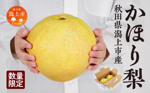 【10月中旬以降随時発送】令和7年産 かほり梨 和梨 かほり 旬 甘い 大玉 800g くだもの 果物 フルーツ なし ナシ 冷蔵 グルメ 人気 おすすめ ランキング 故郷 ふるさと 納税 秋田 秋田県 潟上 潟上市 【加賀谷果樹園】