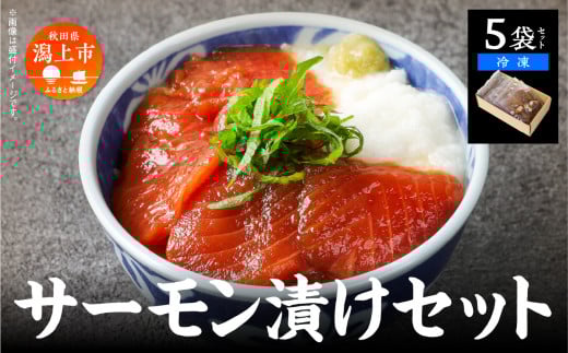 サーモン漬け丼セット 60g×5袋  計300g 訳アリ 訳あり 簡易包装 冷凍 時短 簡単調理 お手軽 小分け パック 個包装 一人暮らし 海鮮丼 海鮮 鮭 季節 魚 漬け 丼  魚介 おすすめ  送料無料 【西村魚屋】