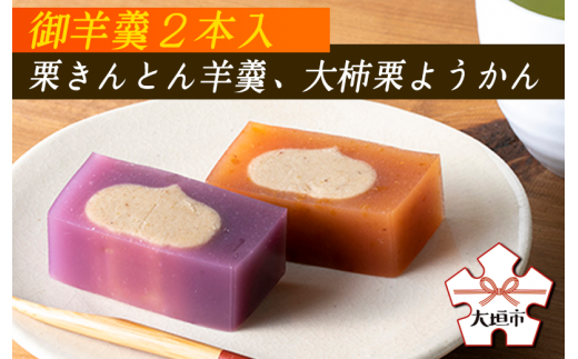 御羊羹２本入（栗きんとん羊羹、大柿栗ようかん）