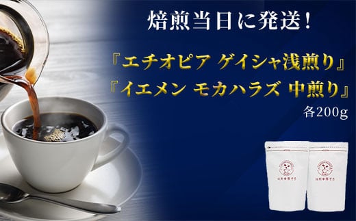 [秋の大感謝祭開催中!飛騨牛が抽選で当たる]焙煎当日に発送!『エチオピア ゲイシャ浅煎り』&『イエメン モカハラズ 中煎り』各200g 粉