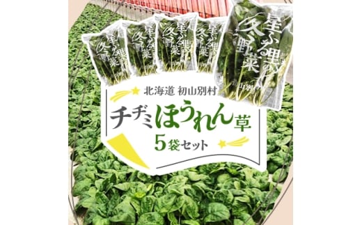 <北海道 初山別村> チヂミほうれん草×5袋セット【1665015】