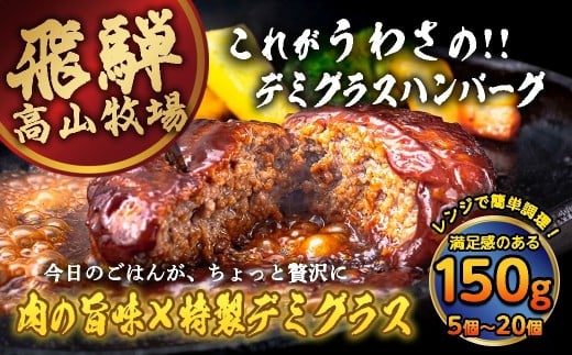 飛騨高山牧場の工場で作った デミグラスハンバーグ 150g 10個
