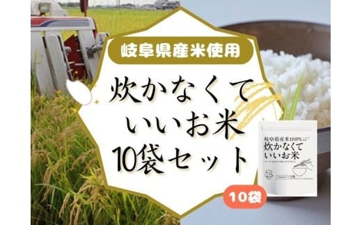 炊かなくていいお米 10袋セット GPF-11