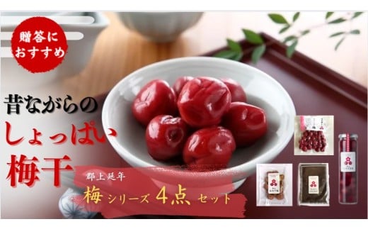 郡上延年梅セット