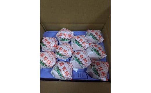 贈答用富有柿 3Lサイズ10個 約3.3kg 発祥の地岐阜県瑞穂市産