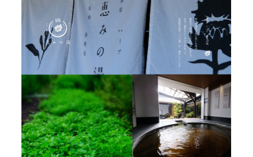ハーブとサウナが人気のお風呂屋さん「岐阜各務原 恵みの湯」入浴券10枚