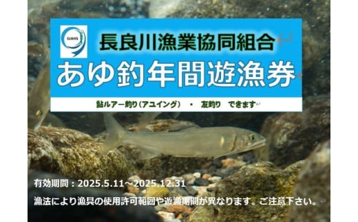 あゆ釣年間遊漁券