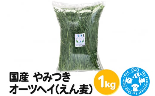 国産 やみつきオーツヘイ(えん麦)1kg