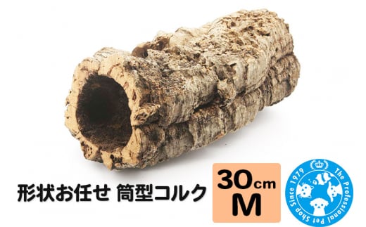 形状お任せ 筒型コルク Mサイズ 長さ30cm エアプランツ 着生植物