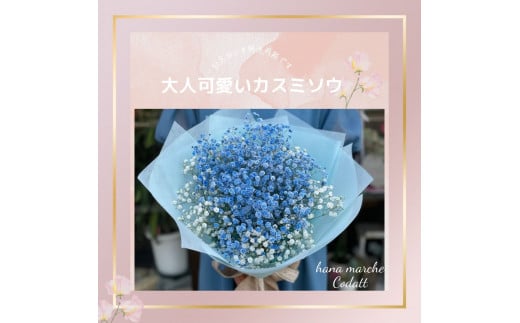 虹色カスミソウ(かすみ草)花束 (ブルー) 花マルシェCodatt 人気No.1爽やかで清楚なブルーカラー 敬老の日 [0355]
