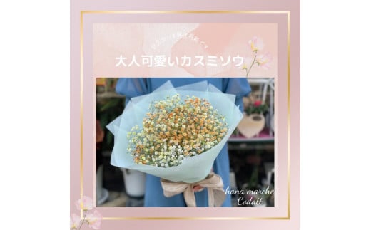 虹色カスミソウ (かすみ草) 花束 (オレンジ) 花マルシェCodatt 元気なかわいさ100%ビタミンカラー 敬老の日 [0356]
