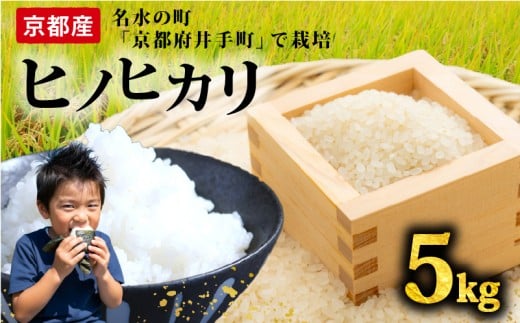 【先行予約】ヒノヒカリ 5kg 令和7年産 精米 白米  お米 米 こめ ご飯 おにぎり 弁当 産地直送 国産 京都産 井手町 予約