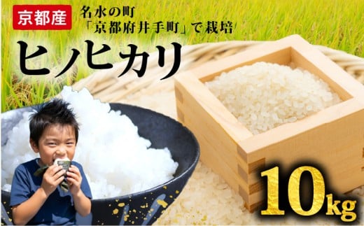 【先行予約】ヒノヒカリ 10kg 令和7年産 精米 白米  お米 米 こめ ご飯 おにぎり 弁当 産地直送 国産 京都産 井手町