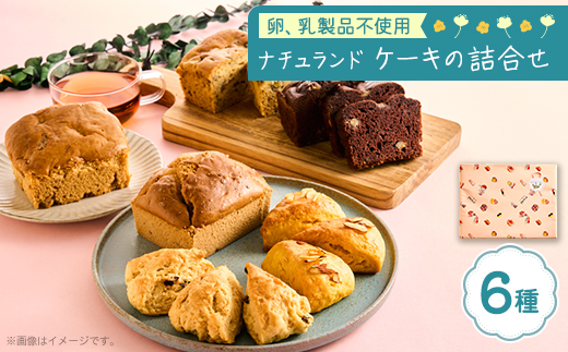 卵、乳製品を使用しないケーキの詰め合わせ【1616137】