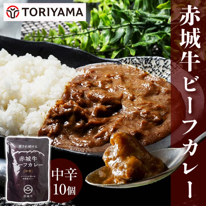 赤城牛 ビーフカレー(中辛)200g×10個 《ご当地レトルトカレーランキング全国第3位受賞》カレー レトルト 牛肉 銘柄牛 赤城牛 長期保存 群馬 渋川市 F4H-0469