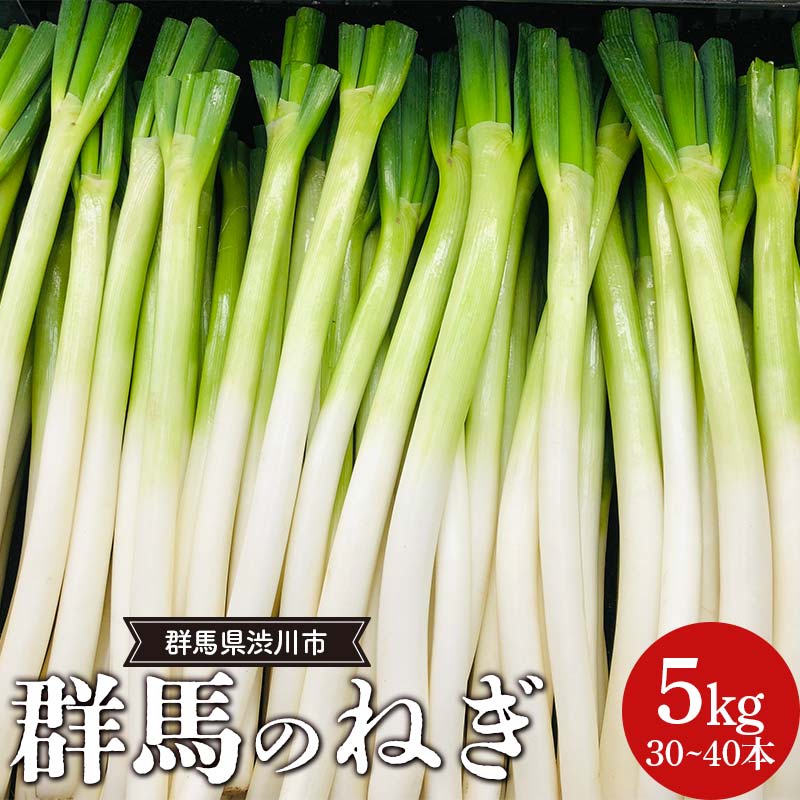 群馬のねぎ 5kg(30~40本) 群馬県 渋川市 F4H-0542