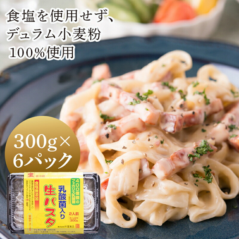 乳酸菌入り 生パスタ 300g×6パック 12人前 麺 パスタ フェットチーネ 平麺  F4H-0047