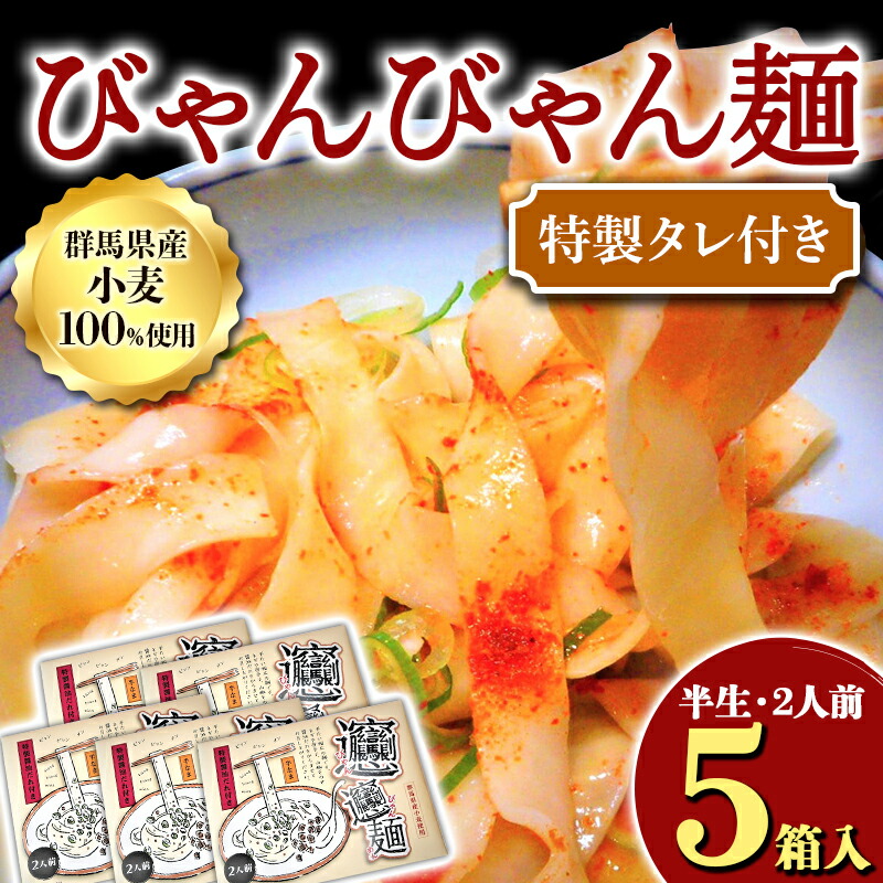 びゃんびゃん麺（半生・2人前）特製タレ付き×5箱入 中国 郷土料理 中華 ビャンビャン麺 麺類 めん  F4H-0051